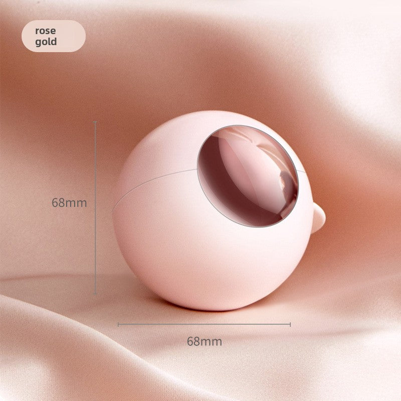 Washable Lint Roller for Home Use